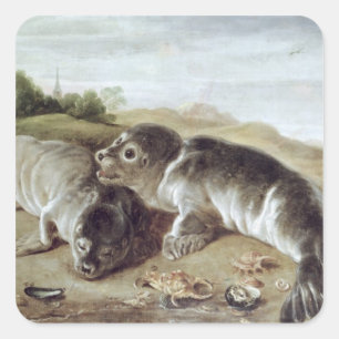 Pegatina Cuadrada Dos jóvenes focas en la costa, c.1650