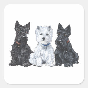 Pegatina Cuadrada Dos Scotties y un Westie