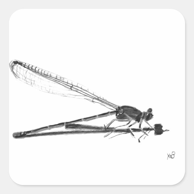 Pegatina Cuadrada Dragon Fly (Anverso)