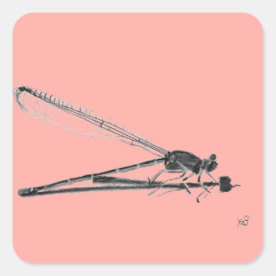 Pegatina Cuadrada Dragon Fly