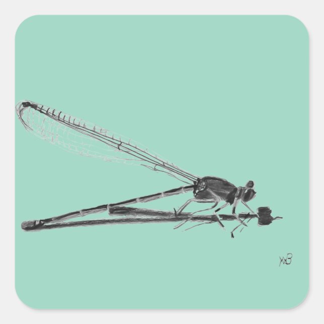 Pegatina Cuadrada Dragon Fly (Anverso)