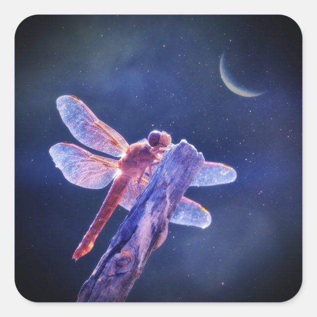 Pegatina Cuadrada Dragonfly y Crescent Moon Mystical (Anverso)