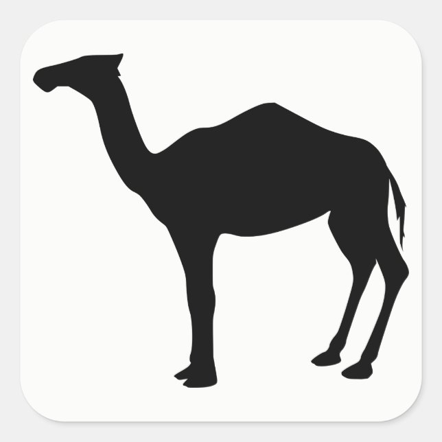 Pegatina Cuadrada Dromedary Silhouette (Anverso)