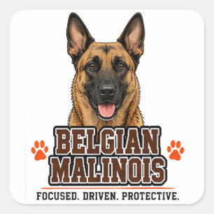 Pegatina Cuadrada 🐾 Dueño de Pastor Belga Malinois Orgullo Familiar