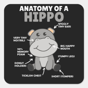Pegatina Cuadrada Dulce Declaración de Hippo Anatomía de un hipopóta