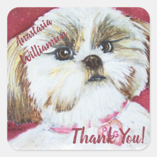 Pegatina Cuadrada Dulce Shih Tzu GRACIAS