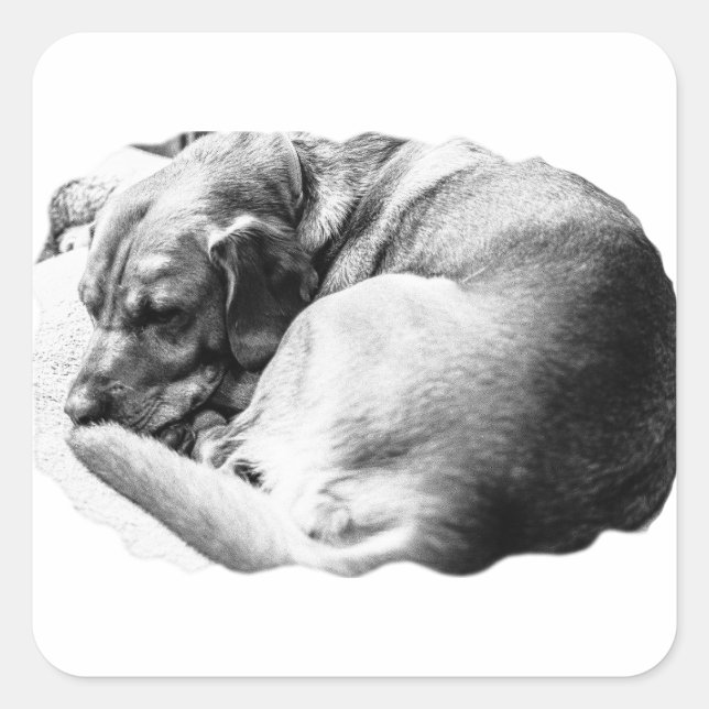 Pegatina Cuadrada Dulce Slumber (Anverso)