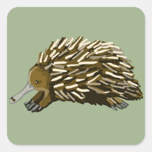 Pegatina Cuadrada Echidna