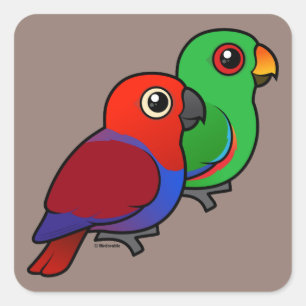 Pegatina Cuadrada Eclectus Pair