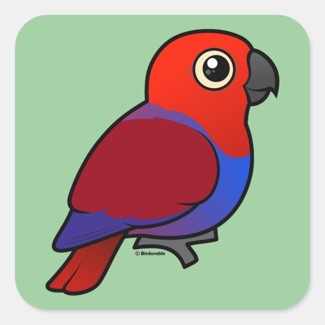 Pegatina Cuadrada Eclectus Parrot (Anverso)