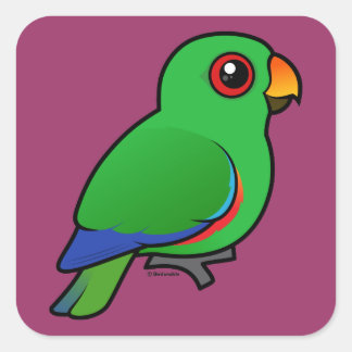 Pegatina Cuadrada Eclectus Parrot macho