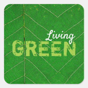 Pegatina Cuadrada Eco Friendly Living Green