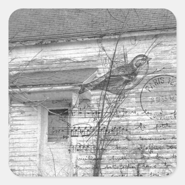 Pegatina Cuadrada Edición de música de pájaro de casa abandonada (Anverso)