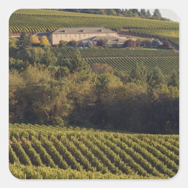 Pegatina Cuadrada Edificio bronceado de Archery Summit se encuentra  (Anverso)