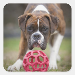 Pegatina Cuadrada edmonton alberta canada