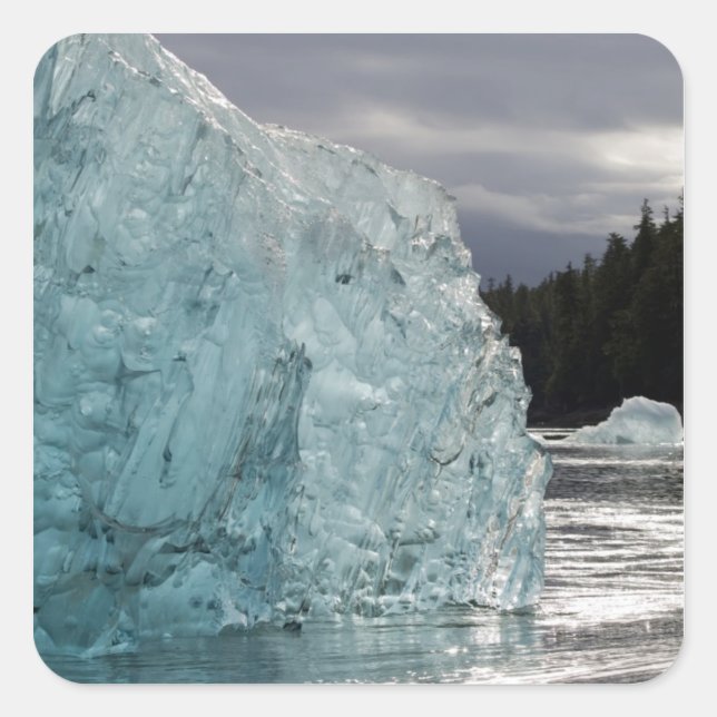 Pegatina Cuadrada EE.UU., Alaska, Bosque Nacional Tongass, Tracy 2 (Anverso)