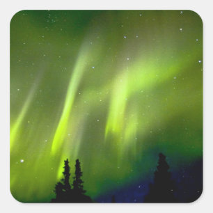 Pegatina Cuadrada EE. UU., Alaska, Chena Hot Springs. Aurora 3