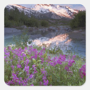 Pegatina Cuadrada EE. UU., Alaska, Desierto de Alsek-Tatshenshini.