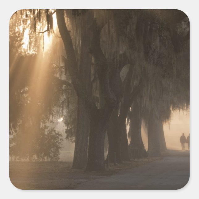 Pegatina Cuadrada EE.UU.; América del Norte; Georgia; Savannah. Chic (Anverso)