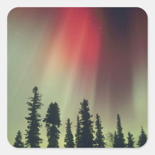 Pegatina Cuadrada EE. UU., área de Fairbanks, Alaska central, Aurora
