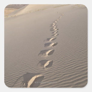 Pegatina Cuadrada EE.UU., California, Huellas del desierto