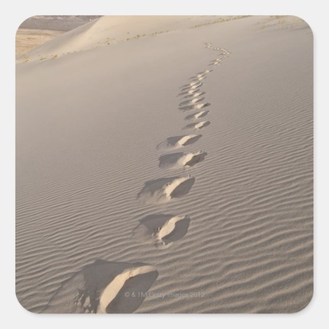 Pegatina Cuadrada EE.UU., California, Huellas del desierto (Anverso)