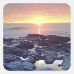 Pegatina Cuadrada EE.UU., California, San Diego. Marea de Sunset Cli