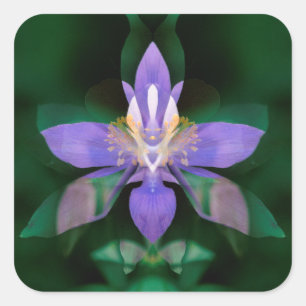 Pegatina Cuadrada EE.UU., Colorado, condado de Boulder