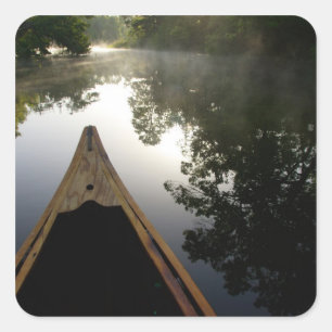 Pegatina Cuadrada EE.UU., Florida, Bosque Nacional Ocala, Alexander
