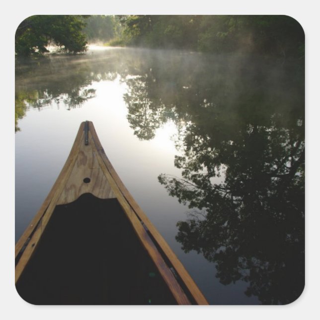 Pegatina Cuadrada EE.UU., Florida, Bosque Nacional Ocala, Alexander (Anverso)