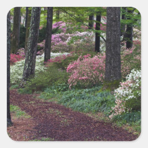 Pegatina Cuadrada EE.UU., Georgia, Callaway Gardens.Camino