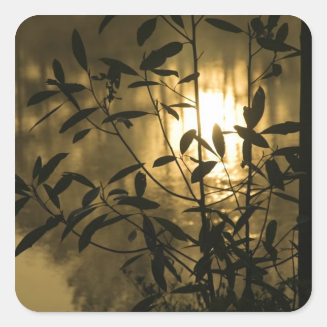 Pegatina Cuadrada EE.UU., Georgia, Callaway Gardens, Sunrise (Anverso)