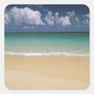 Pegatina Cuadrada EE. UU., Hawái. Escena de playa