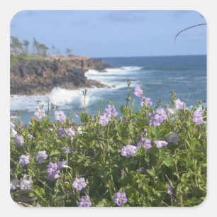 Pegatina Cuadrada EE. UU., Hawái, Kauai, cerca de Kapaa, noroeste