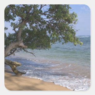 Pegatina Cuadrada EE. UU., Hawái, Kauai, paisaje de playa. RF)