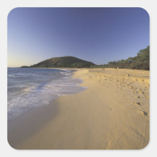 Pegatina Cuadrada EE. UU., Hawái, Maui, Huellas en arena, Makena