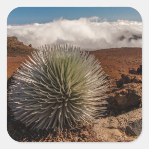 Pegatina Cuadrada EE. UU., Hawái, Maui, Parque Nacional Haleakala