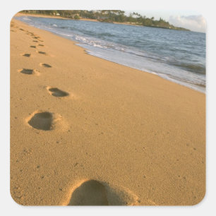 Pegatina Cuadrada EE.UU., Hawaii, Kauai, Kapa'a, playa.