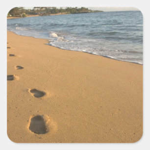 Pegatina Cuadrada EE.UU., Hawaii, Kauai, Kapa'a, playa. RF)