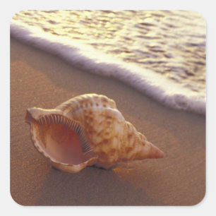 Pegatina Cuadrada EE.UU., Hawaii, Maui, Kihei, la noche se enciende