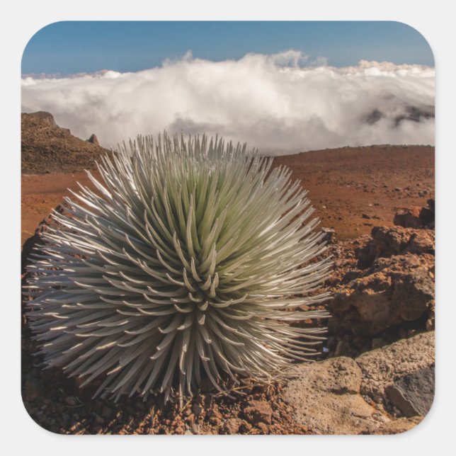 Pegatina Cuadrada EE.UU., Hawaii, Maui, Parque Nacional Haleakala (Anverso)