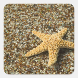 Pegatina Cuadrada EE. UU., HI, Kauai, Glass Beach con estrella de ma