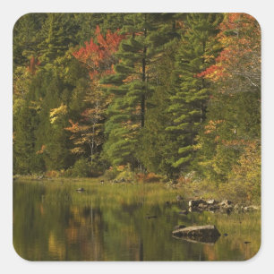 Pegatina Cuadrada EE. UU.; Maine; PN de Acadia. Reflejos de otoño a