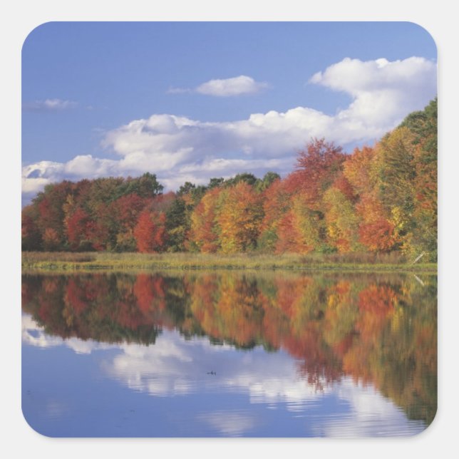 Pegatina Cuadrada EE. UU., Massachusetts, Acton. Reflejo de otoño (Anverso)