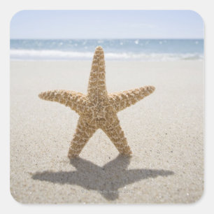 Pegatina Cuadrada EE.UU., Massachusetts, Cape Cod, Nantucket, cerca