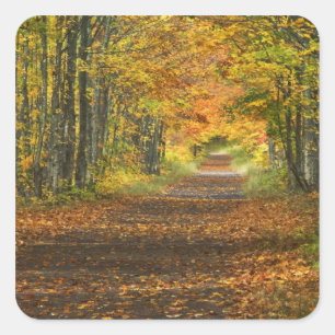 Pegatina Cuadrada EE. UU., Michigan, Península Superior. Carretera h
