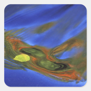 Pegatina Cuadrada EE.UU., Michigan, península superior, hoja de abe