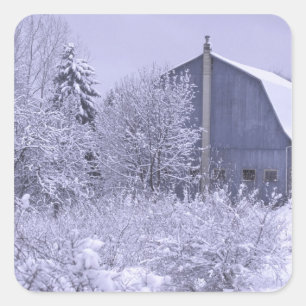 Pegatina Cuadrada EE. UU., Michigan, Rochester Hills. Azul nevado