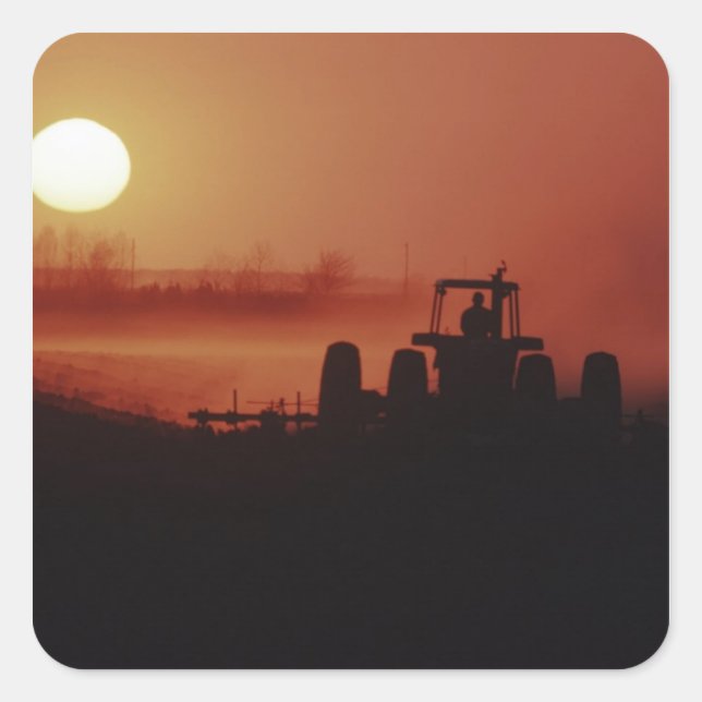 Pegatina Cuadrada EE.UU., Mississippi, campo de algodón en disco (Anverso)