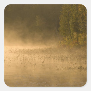 Pegatina Cuadrada EE. UU., Nueva York, Parque Adirondack. Niebla al